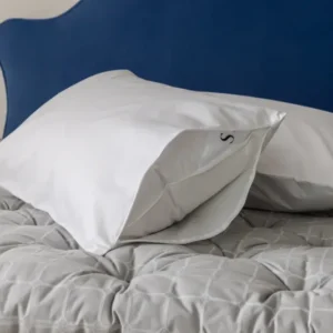 Dust Mite Proof Pillow Protector