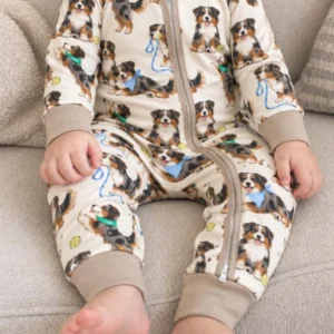 Playful Australian Shepherd Puppies Bamboo Convertible Zippy