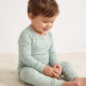 Seafoam Dolphin Dance Bamboo Two Piece Long Sleeve Pajama Set
