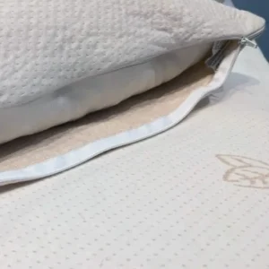 Organic Cotton Pillow Protector
